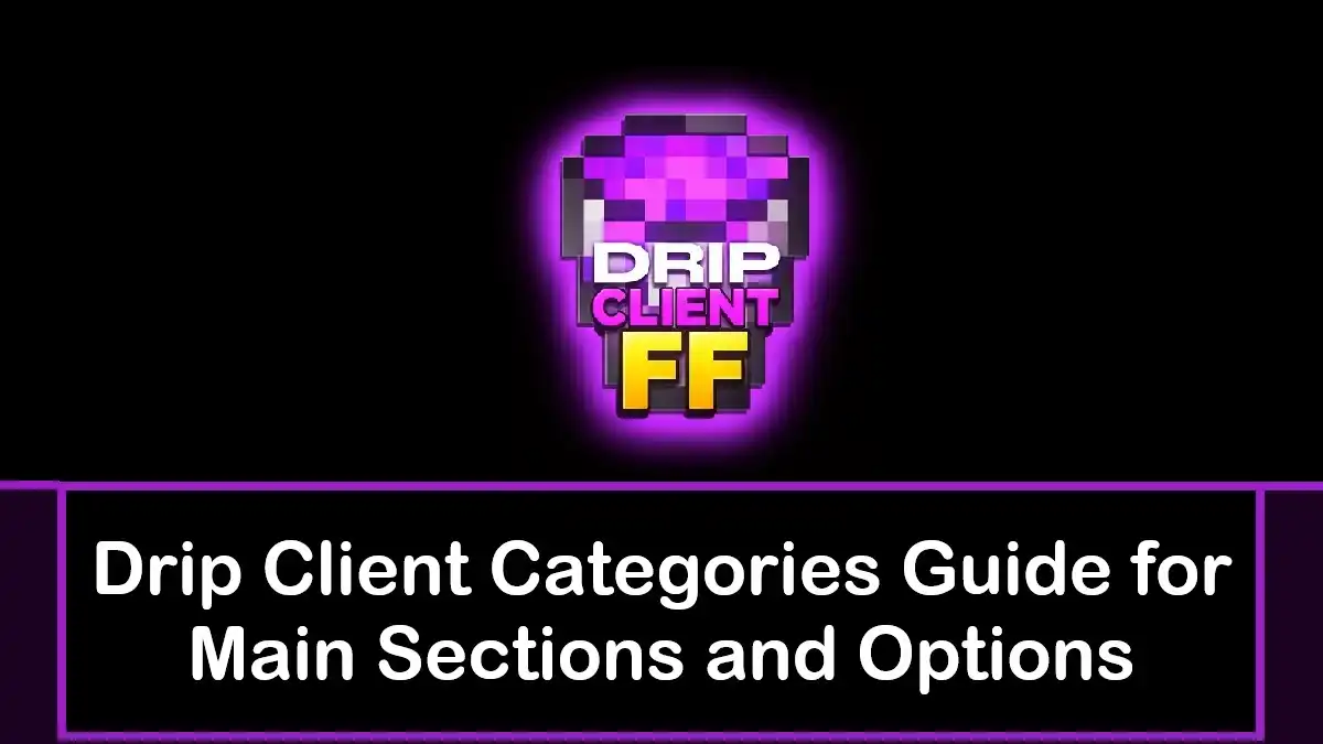 Drip Client Categories Guide for Main Sections and Options