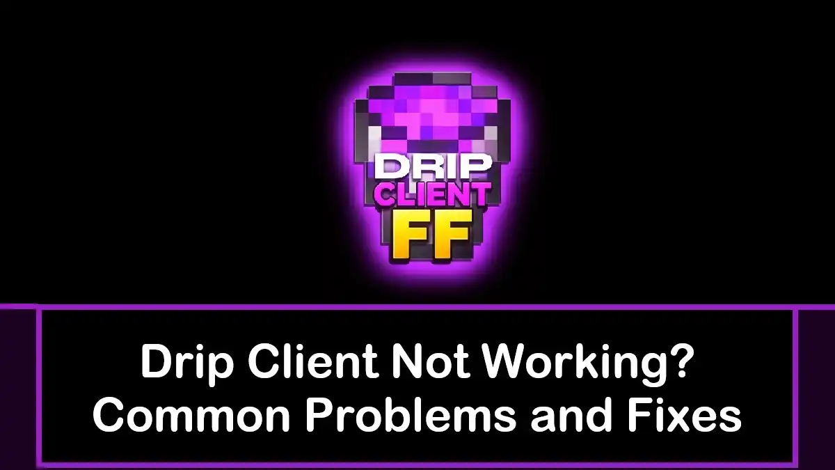 Drip Client Not Working? Common Problems and Fixes